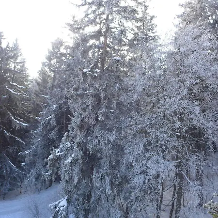 Terrasse Des Alpes 917 By Interhome 아파트 크란스몬타나